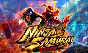 닌자 VS 사무라이