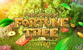 프라스페라티 포춘 트리